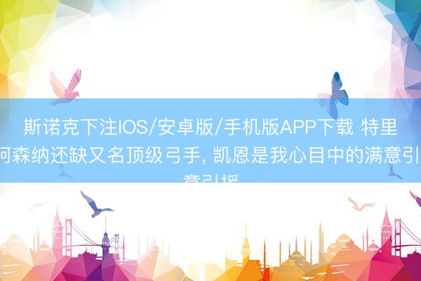 斯诺克下注IOS/安卓版/手机版APP下载 特里: 阿森纳还缺又名顶级弓手， 凯恩是我心目中的满意引援