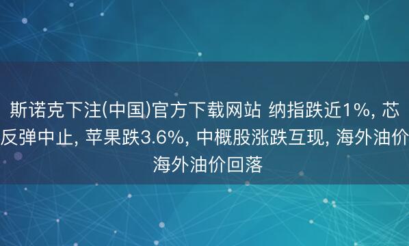 斯诺克下注(中国)官方下载网站 纳指跌近1%, 芯片股反弹中止, 苹果跌3.6%, 中概股涨跌互现, 海外油价回落