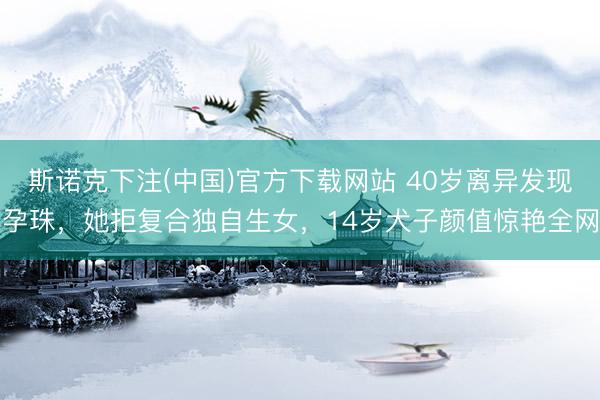 斯诺克下注(中国)官方下载网站 40岁离异发现孕珠，她拒复合独自生女，14岁犬子颜值惊艳全网