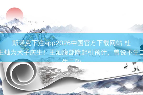 斯诺克下注app2026中国官方下载网站 杜淳王灿为犬子庆生！王灿腹部隆起引预计，曾说不生二胎