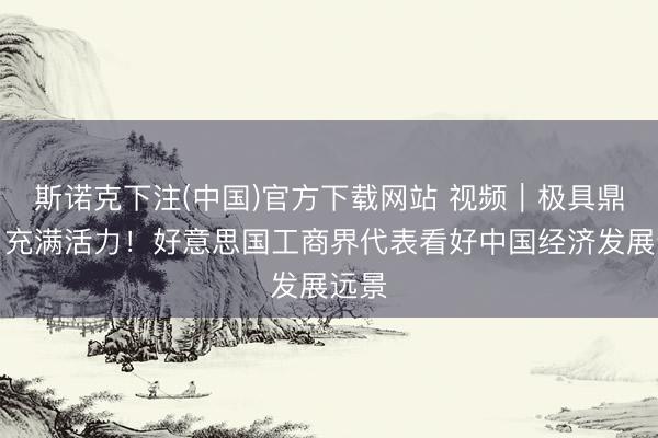 斯诺克下注(中国)官方下载网站 视频｜极具鼎新、充满活力！好意思国工商界代表看好中国经济发展远景
