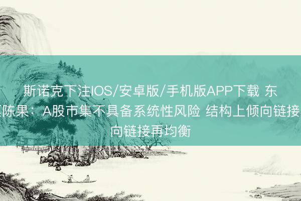 斯诺克下注IOS/安卓版/手机版APP下载 东方钞票陈果：A股市集不具备系统性风险 结构上倾向链接再均衡
