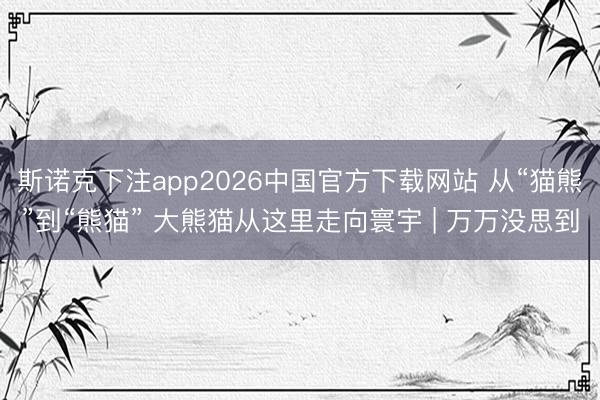 斯诺克下注app2026中国官方下载网站 从“猫熊”到“熊猫” 大熊猫从这里走向寰宇 | 万万没思到
