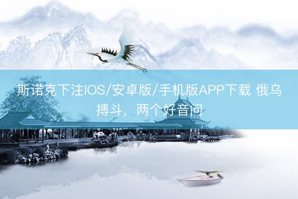 斯诺克下注IOS/安卓版/手机版APP下载 俄乌搏斗,两个好音问