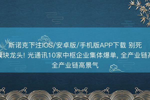 斯诺克下注IOS/安卓版/手机版APP下载 别死盯光模块龙头! 光通讯10家中枢企业集体爆单, 全产业链高景气