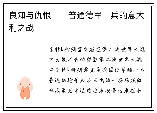 良知与仇恨——普通德军一兵的意大利之战